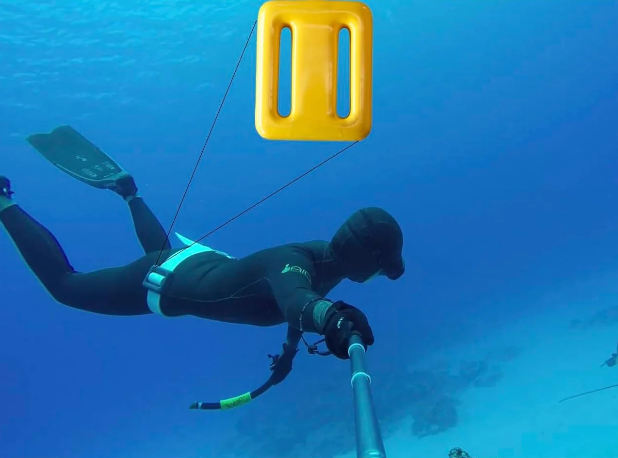 Pesi da Immersione per Cintura di Peso (0,5 kg-2 kg), Pesi in Vinile, Pesi da Immersione Rivestiti, Pesi per Immersioni in Piombo, Pesi per Immersioni in apnea, Pesca Subacquea