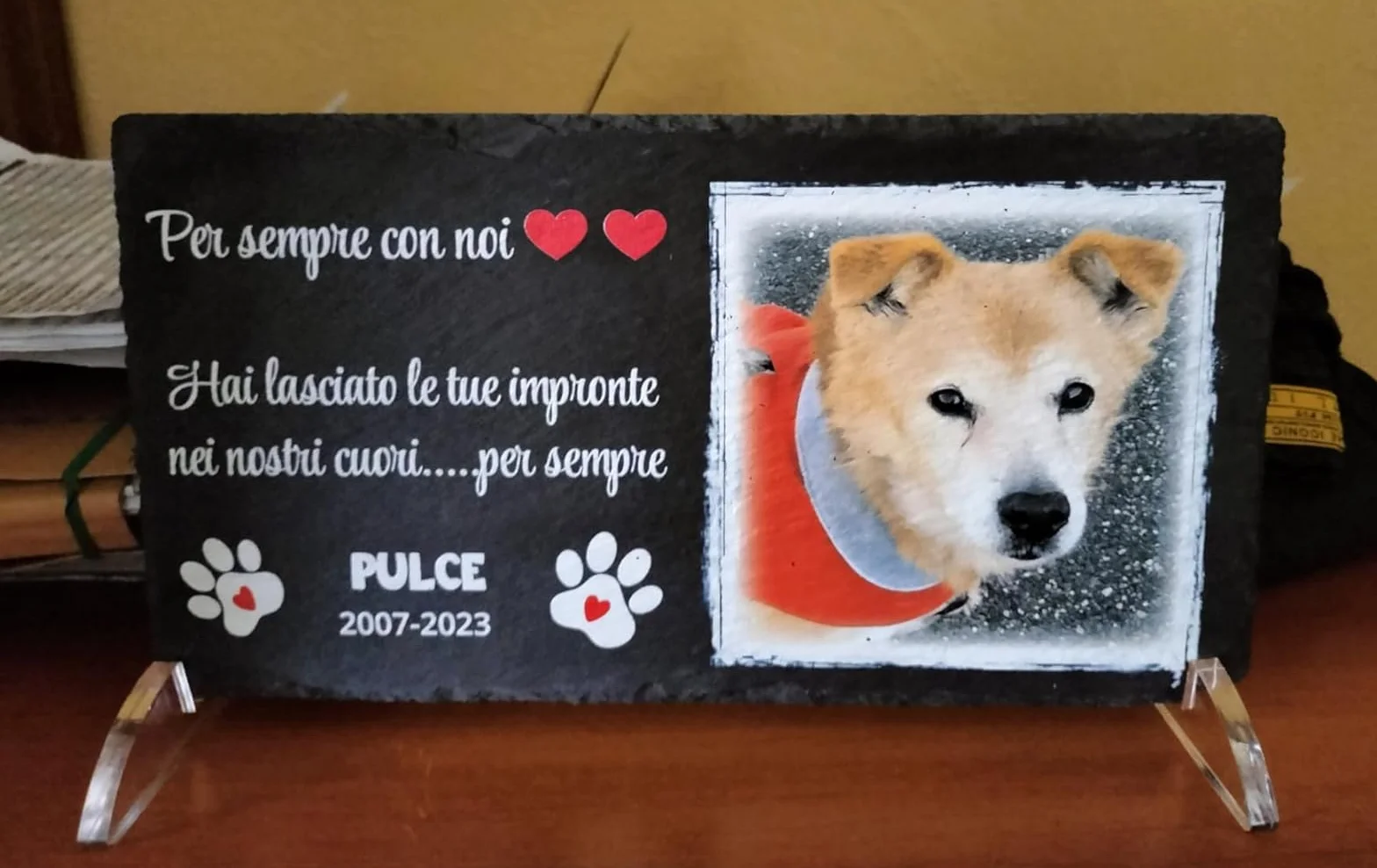 Targa commemorativa per Cane e Gatto, Memoriale personalizzabile in pietra, Lapide cane personalizzata per esterno con foto del tuo animale domestico (Rettangolare 32x17cm)