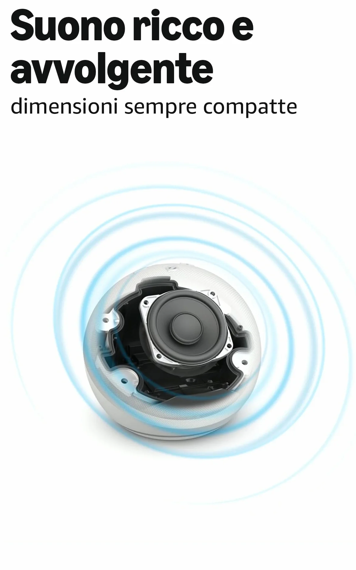 Echo Dot (Ultimo modello) | Altoparlante intelligente Wi-Fi e Bluetooth, suono più potente e dinamico | Anthracite, con Accesso Anticipato ad Alexa+