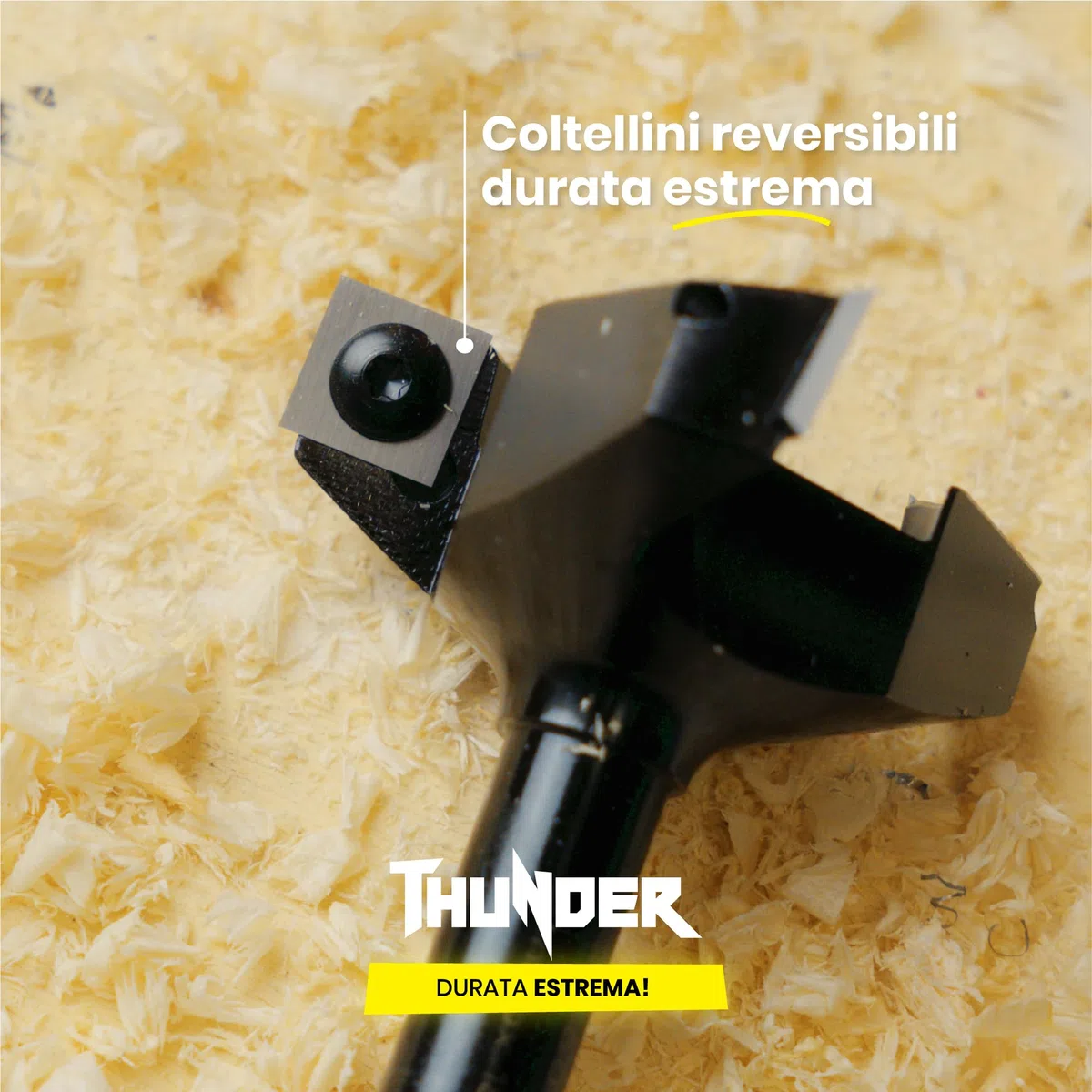 LegnoTools Thunder – Fresa per spianare legno diametro 35 mm, gambo 8 mm, con 3 inserti intercambiabili in metallo duro 10.5 mm – per livellare, bordi e scanalature – per CNC e fresatrice verticale