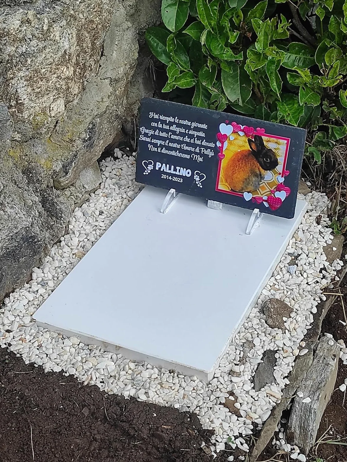 Targa commemorativa per Cane e Gatto, Memoriale personalizzabile in pietra, Lapide cane personalizzata per esterno con foto del tuo animale domestico (Rettangolare 32x17cm)